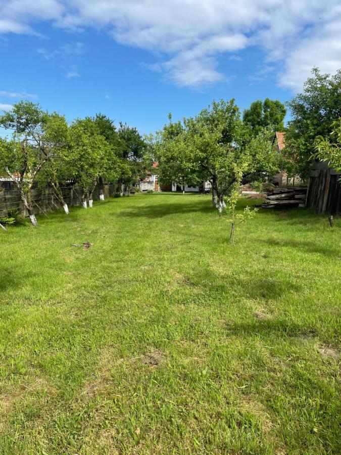 La Mosu Villa Porumbacu de Sus Eksteriør billede